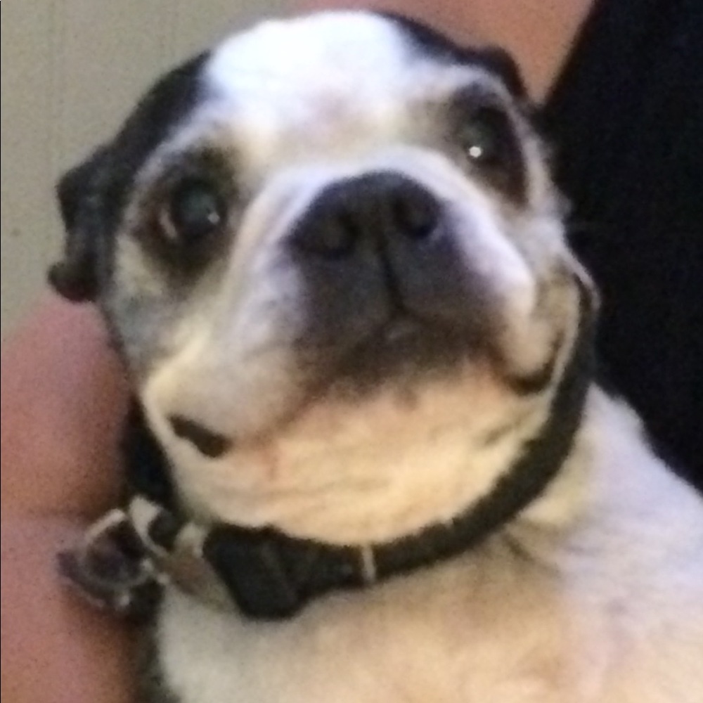 Meet your Posher, Jenny